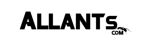 Allants